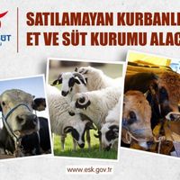 GÜNDEM