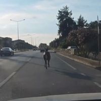 GÜNDEM