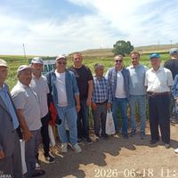 GÜNDEM