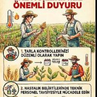 GÜNDEM