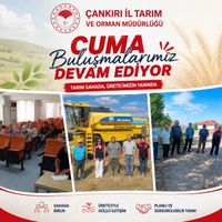 GÜNDEM