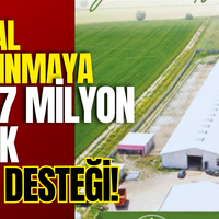 GÜNDEM