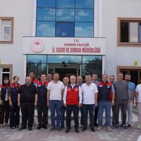 EKONOMİ