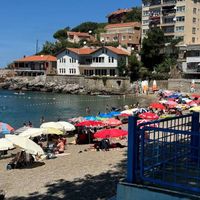 GENEL