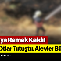 GÜNDEM