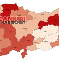EKONOMİ