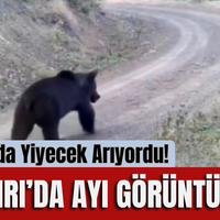 GÜNDEM