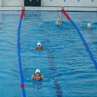 SPOR