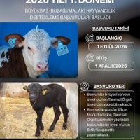 GÜNDEM