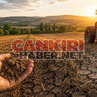 EKONOMİ