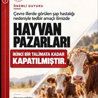 GÜNDEM