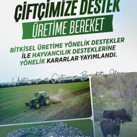 EKONOMİ