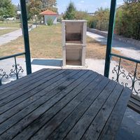 GÜNDEM