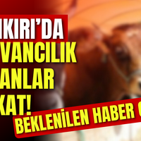 GÜNDEM