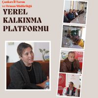 GÜNDEM