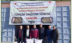 Sertifikalı tohum kullanımı artıyor