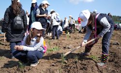 21 Mart Dünya Ormancılık Günü’nde çocuklar bin fidan dikti