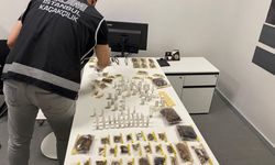 İstanbul Havalimanı'nda ABD'li müze müdürü tarantula ve akrep kaçakçılığı yaparken yakalandı