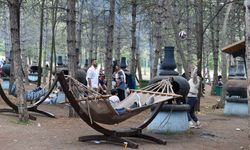 Piknik severlerin yeni gözdesi Park Ankara