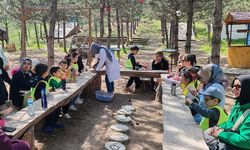 Çankırı Muazzez Servet Amaratoğlu Ortaokulu Endemik Vadi'de