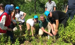 Özel çocuklar yetiştirdikleri sebze ve aromatik bitkilerin hasadını yaptı