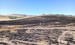 Ankara’da kontrolsüz yakılan çöp 300 dönümlük araziyi küle çevirdi