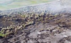Çankırı'da 80 dönümlük mera arazisinde yangın çıktı