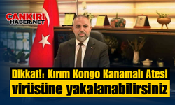 Dikkat!: Kırım Kongo Kanamalı Ateşi virüsüne yakalanabilirsiniz