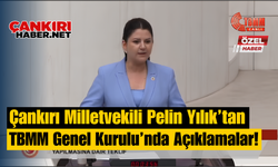 Çankırı Milletvekili Pelin Yılık’tan TBMM Genel Kurulu’nda Açıklamalar!