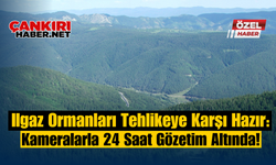 Ilgaz Ormanları Tehlikeye Karşı Hazır: Kameralarla 24 Saat Gözetim Altında!