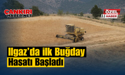 Ilgaz’da ilk buğday hasatı başladı