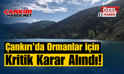 Çankırı’da Ormanlar İçin Kritik Karar Alındı!