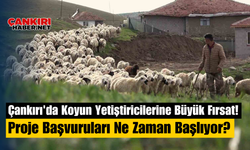 Çankırı'da Koyun Yetiştiricilerine Büyük Fırsat! Proje Başvuruları Ne Zaman Başlıyor?