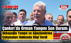 Çankırı’da Orman Yangını Son Durum: Akbaşoğlu Yangın ve Ağaçlandırma Çalışmaları Hakkında Bilgi Verdi