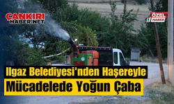 Ilgaz Belediyesi'nden Haşereyle Mücadelede Yoğun Çaba