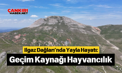 Ilgaz Dağları’nda Yayla Hayatı: Geçim Kaynağı Hayvancılık