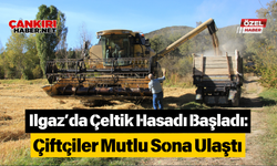 Ilgaz’da Çeltik Hasadı Başladı: Çiftçiler Mutlu Sona Ulaştı