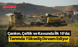 Çankırı, Çeltik ve Kavunda İlk 10'da: Tarımda Yükseliş Devam Ediyor