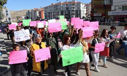 "Hayvanları Değil Sapıkları Uyutun": Çankırı'da Protesto Yürüyüşü