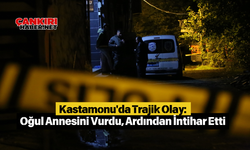 Kastamonu'da Trajik Olay: Oğul Annesini Vurdu, Ardından İntihar Etti