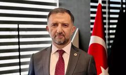 Mehmet Demiroğlu kimdir? Ne iş yapıyor?