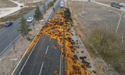 10 Ton Mandalina Yola Saçıldı, Kara Yolu Kapatıldı