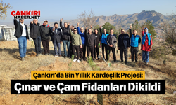 Çankırı’da Bin Yıllık Kardeşlik Projesi: Çınar ve Çam Fidanları Dikildi