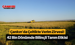 Çankırı’da Çeltikte Verim Zirvesi! 42 Bin Dönümde Bilinçli Tarım Etkisi