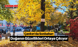 Çankırı'da Sonbahar: Doğanın Güzellikleri Ortaya Çıkıyor