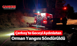 Çerkeş’te Geceyi Aydınlatan Orman Yangını Söndürüldü