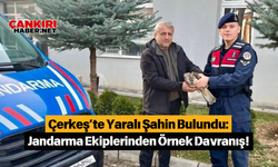 Çerkeş’te Yaralı Şahin Bulundu: Jandarma Ekiplerinden Örnek Davranış!