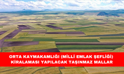 ORTA KAYMAKAMLIĞI (MİLLİ EMLAK ŞEFLİĞİ) KİRALAMASI YAPILACAK TAŞINMAZ MALLAR