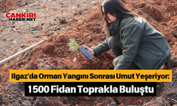 Ilgaz'da Orman Yangını Sonrası Umut Yeşeriyor: 1500 Fidan Toprakla Buluştu