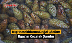 Kış Hastalıklarına Doğal Çözüm: Ilgaz’ın Kozalak Şurubu